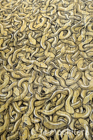 Un dettaglio della barba del Mosè di Escif